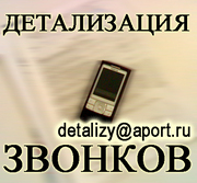 Услуга Детализация звонков с оплатой по факту выполнения