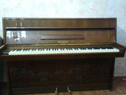 Продаю пианино Petrof